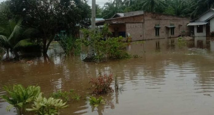 Ratusan Rumah Terendam Banjir, Seorang Bocah Jadi Korban