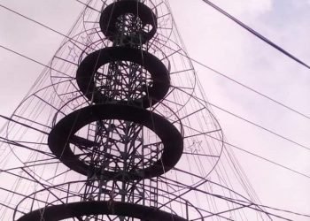 Disambar Petir, Dinas PRKP Upayakan Perbaikan Pohon Terang di Jalan Gereja