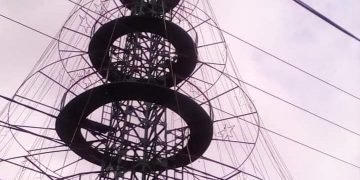 Disambar Petir, Dinas PRKP Upayakan Perbaikan Pohon Terang di Jalan Gereja