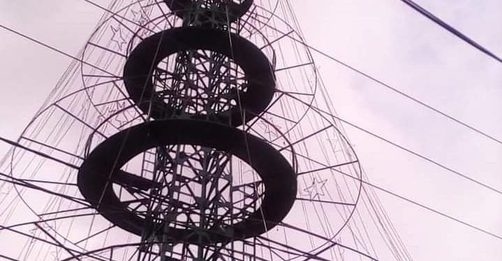 Disambar Petir, Dinas PRKP Upayakan Perbaikan Pohon Terang di Jalan Gereja