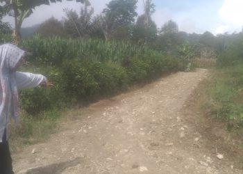 Pengerasan Jalan Menuju Lahan Pertanian Desa Sambaliang Kupak Kapik
