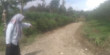 Pengerasan Jalan Menuju Lahan Pertanian Desa Sambaliang Kupak Kapik