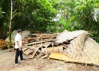 Rumah Warga Roboh Tertimpa Pohon, Bupati Zahir Bantu Renovasi dan Beri Bantuan