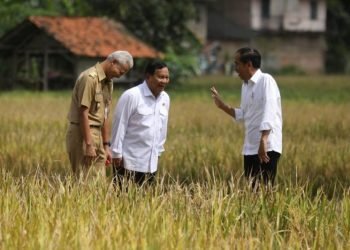 Jokowi Tawarkan Prabowo Jadi Cawapres Ganjar