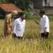 Jokowi Tawarkan Prabowo Jadi Cawapres Ganjar