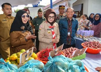 dr Susanti Canangkan Gerakan Pangan Murah di Pematang Siantar, Serentak di Seluruh Indonesia dan Raih Rekor MURI