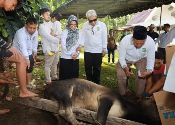 Pemko Pematang Siantar Sembelih 9 Hewan Kurban, dr. Susanti Dewayani Serahkan 1 Ekor