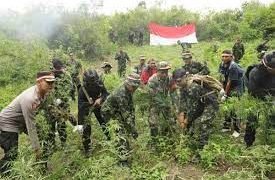 BNN RI Melakukan Pemusnahan ladang ganja seluas 1,5 H Di Madina