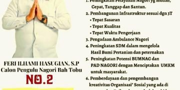 Kaum Milenial Yang Ingin Memajukan Nagori, Feri Hasugian Maju Calon Pangulu