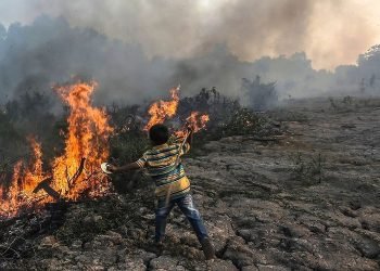 BMKG: Waspadai hujan lebat hingga karhutla di sejumlah wilayah Indonesia