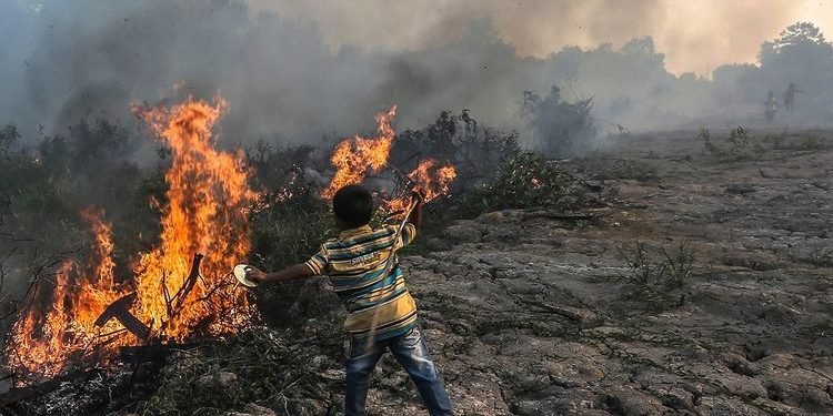 BMKG: Waspadai hujan lebat hingga karhutla di sejumlah wilayah Indonesia