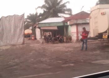 Gusang CPO Ilegal Bebas Operasi