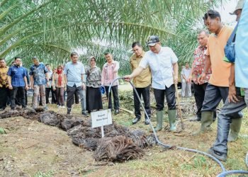 Kenalkan Pupuk Organik Limbah Sawit, Bupati Zahir : Bisa Jadi Alternatif Atasi Kelangkaan Pupuk