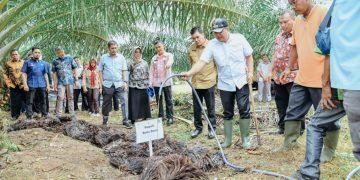 Kenalkan Pupuk Organik Limbah Sawit, Bupati Zahir : Bisa Jadi Alternatif Atasi Kelangkaan Pupuk