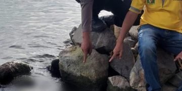 Potongan Tubuh Manusia Mengapung Di Danau Toba, Polsek Purba Evakuasi Jasad