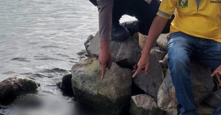 Potongan Tubuh Manusia Mengapung Di Danau Toba, Polsek Purba Evakuasi Jasad