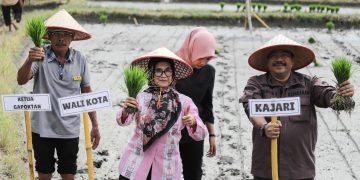 Kelompok Tani Satahi Tanam Padi Perdana, dr Susanti Berharap Bisa Swasembada Beras
