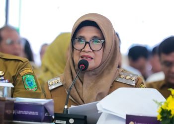 dr Susanti Dewayani Sp.A Mewakili Sejumlah Kepala Daerah Paparkan Penekan Inflasi Serentak