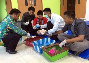 Mahasiswa FK UMSU Ekstrak Kulit Bawang Merah jadi Obat