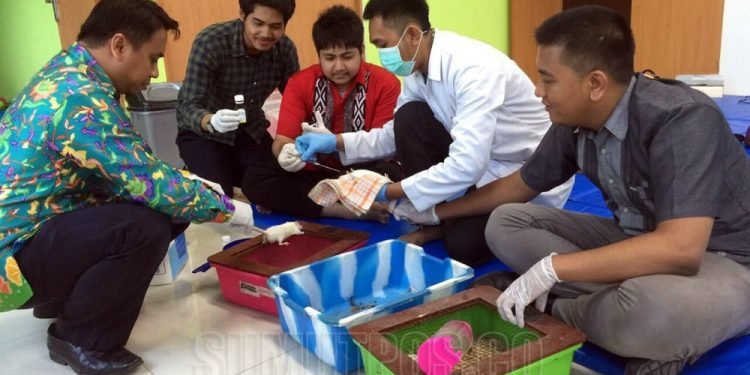 Mahasiswa FK UMSU Ekstrak Kulit Bawang Merah jadi Obat