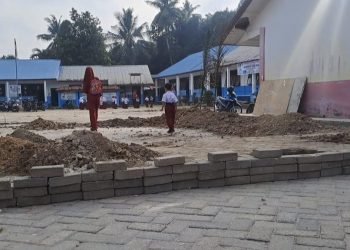 Diduga Jadi Anak Main, SDN 02 Petatal Menerima DAK Berturut-turut Dari T. A 2023-2024?