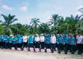 Tekan Laju Inflasi, Dinas Pertanian dan Perkebunan Lakukan Gertam Cabai Merah