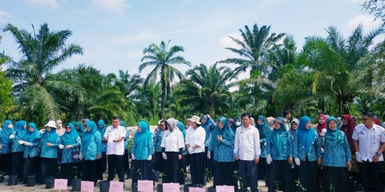 Tekan Laju Inflasi, Dinas Pertanian dan Perkebunan Lakukan Gertam Cabai Merah