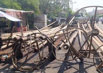 Menyambut HUT RI Pedagang Batang Pohon Pinang di Medan Banjir Orderan