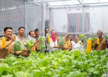 Wali Kota Pematangsiantar bersama masyarakat di Kelurahan Siopat Suhu Kec. Siantar Timur melakukan panen perdana budidaya hidroponik