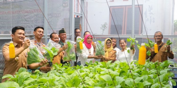 Wali Kota Pematangsiantar bersama masyarakat di Kelurahan Siopat Suhu Kec. Siantar Timur melakukan panen perdana budidaya hidroponik