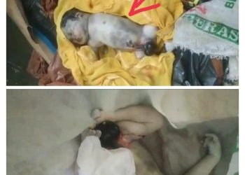 Hebohkan Warga, Ada Bayi Dalam Karung di Sungai Deli
