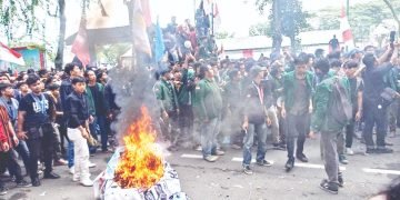 Demo di DPRD Sumut Memanas Mahasiswa Bakar Ban Saling Dorong & Lempar Botol