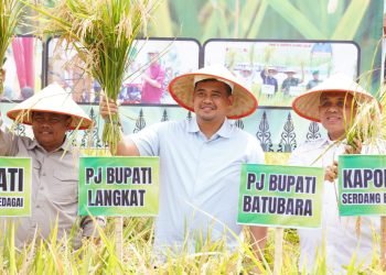 Pj. Bupati Langkat Faisal Hasrimy Hadiri Panen Raya di Sergai: Kolaborasi Wujudkan Ketahanan Pangan Sumut