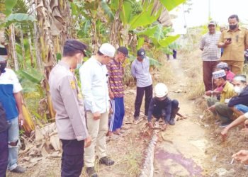 Tragis! Nenek Tewas Dililit Ular saat Sadap Karet