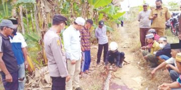 Tragis! Nenek Tewas Dililit Ular saat Sadap Karet