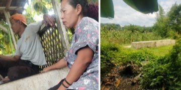 Lembu Bantuan Hanpang Nagori Bangun Ditarik Tanpa Pemberitahuan dari Kandang, Warga Kecewa