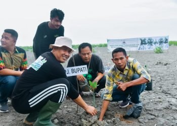 Peringati Hari Lingkungan Hidup, Pj. Bupati Batu Bara Tanam 1000 Mangrove di Pantai Sujono