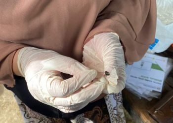 Dinkes Batubara Lakukan Surveilans Penyakit Tular Vektor DBD, Malaria dan Diare