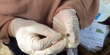 Dinkes Batubara Lakukan Surveilans Penyakit Tular Vektor DBD, Malaria dan Diare