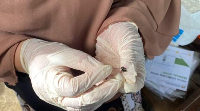 Dinkes Batubara Lakukan Surveilans Penyakit Tular Vektor DBD, Malaria dan Diare