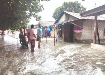 Gelombang Tinggi Air Laut Puluhan Rumah Terendam Banjir di Desa Bagan Kuala