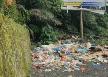 Waahh Bau! Tumpukan Sampah Hiasi Baliho Paslon Nomor Urut 1 di Gerbang Kota Touris Parapat