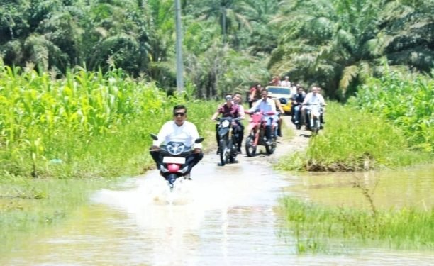Bupati Simalungun dan Kadis PUTR Tinjau Kondisi Jalan Penghubung Nagori Sordang Bolon Menuju Bangun Sordang