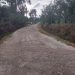 Diduga Pangulu Dipar Hataran Korupsi Dana Pembangunan Jalan Rabat Beton