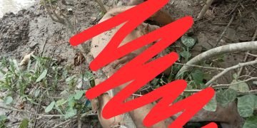Sesosok Mayat Laki – laki di Sungai Aek Boluk, Tim INAFIS Polres Simalungun Olah TKP
