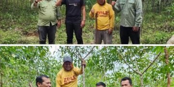 Program Intercrop Ubi, Komitmen TPL Bersama Masyarakat Dolok Parmonangan