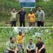 Program Intercrop Ubi, Komitmen TPL Bersama Masyarakat Dolok Parmonangan