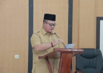 Rumusan RPJPD Gunungsitoli Dengan Menganalisis Kondisi Umum Daerah