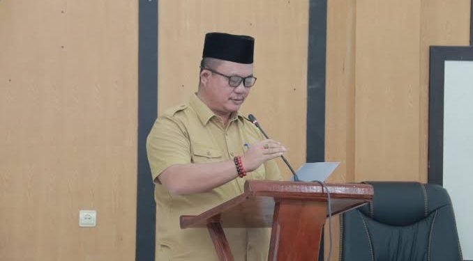 Rumusan RPJPD Gunungsitoli Dengan Menganalisis Kondisi Umum Daerah