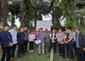 Kebun Bah Birong Ulu PTPN IV Regional II Berhasil Panen Perdana di Lahan Eks Kawasan Hutan